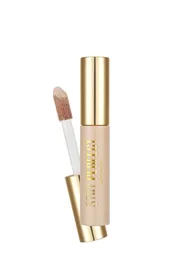 Natural Finish Concealer (COOL BOTTON) - Stay Perfect Concealer - 004 Ivory