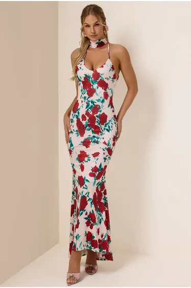Laurence Chiffon Floral Plunge Maxi Dress