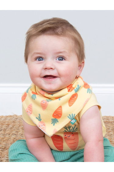 Happy Carrot Bib