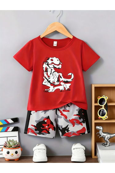 Boys Graphic Print T-Shirt and Shorts Set