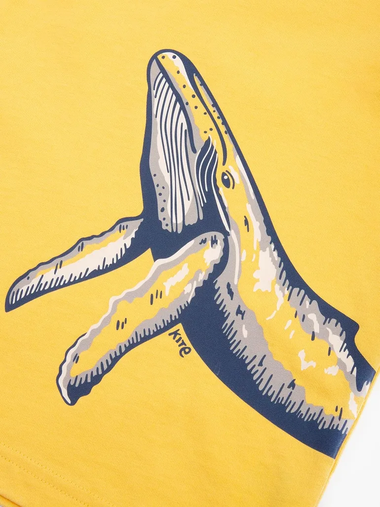 Humpback T-Shirt - 3