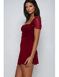 Febronia Mesh Mini Dress In Red - 2