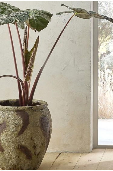 Colin Pure Linen Curtain with Knots