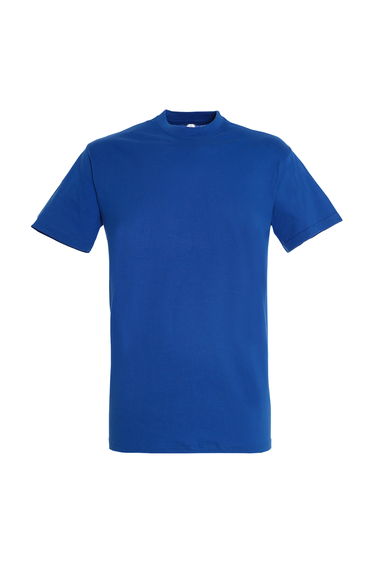 SOLS Mens Regent Short Sleeve T-Shirt - Royal Blue
