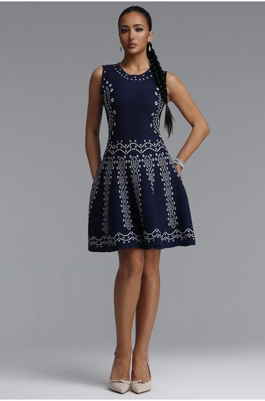 Sinai Elegant Cinched Round Neck Sleeveless Jacquard Knit Mini Dress