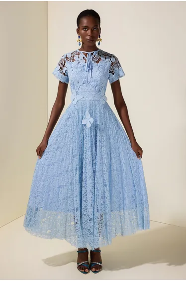 Lace Butterfly Pleated Midi Dress