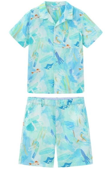 Boys' Short Sleeve Shirt and Shorts Set