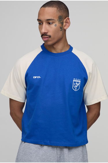 Regular Fit Shrunken Boxy Raglan Sports T-Shirt - blue