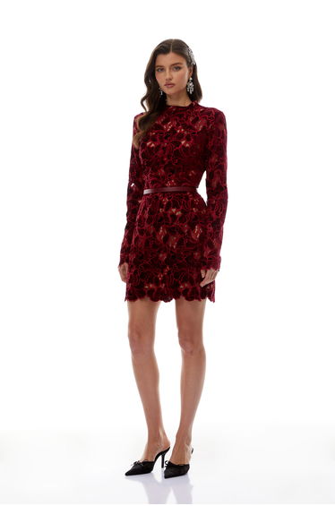 Hafdis Red Floral Embroidered Mini Dress