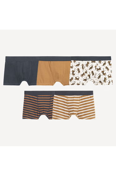 Pack of 5 Hipsters