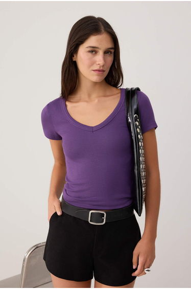 Purple Plain Regular V-Neck Standard Sleeve Short Soft Knitted Blouse