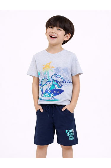Boys Dino Surfer T-Shirt and Shorts Set
