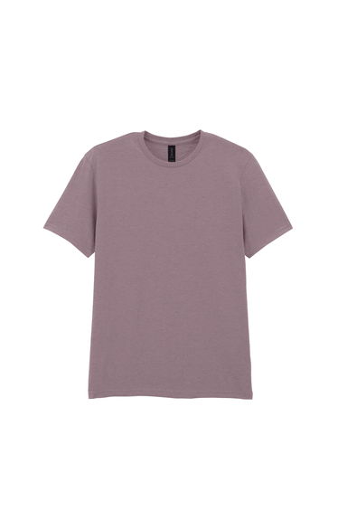 Gildan Mens Short Sleeve Soft-Style T-Shirt - Paragon