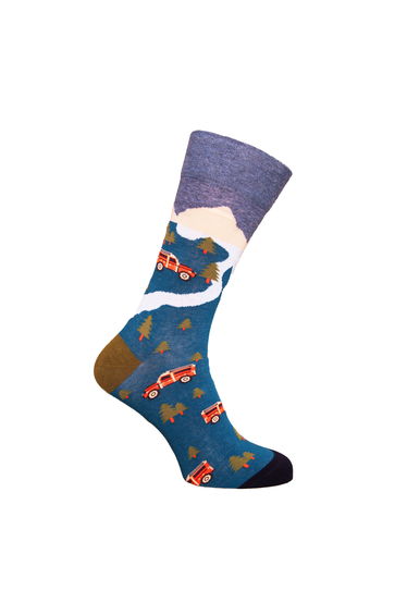 Simply Essentials Boys Toys Mens Van Socks - Blue/Khaki