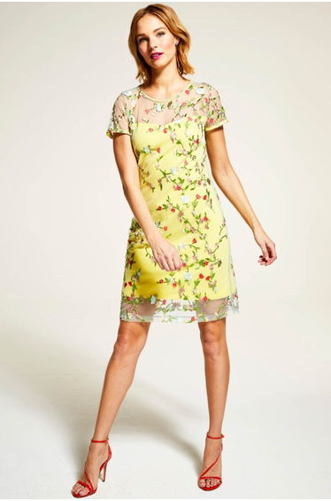 Embroidered Cap Sleeve Party Dress