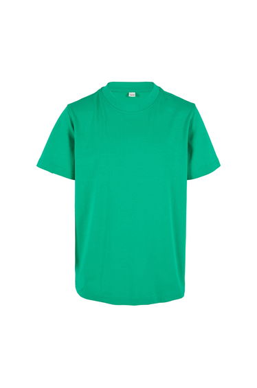Build Your Brand Childrens/Kids Basic Organic T-Shirt - Grass Green