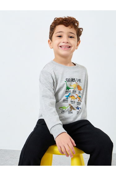 Boys Grey Dinosaur Print Sweatshirt