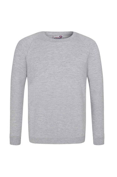 Awdis Childrens/Kids Academy Raglan Sweatshirt - Grey