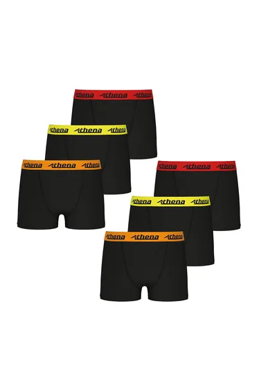 Pack of 6 Trio Choc Boxers in Cotton