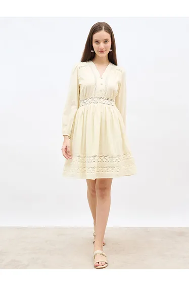 Schiffli Detail V-Neck A-Line Mini Dress