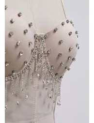 Showstopper Rhinestone Fringe Bustier Bra Top in Apricot - 2