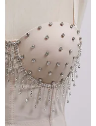 Showstopper Rhinestone Fringe Bustier Bra Top in Apricot - 1
