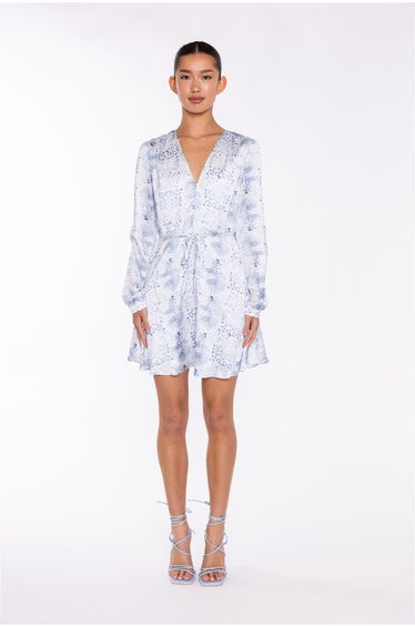 White-Blue Animal V-Neck Mini-Dress
