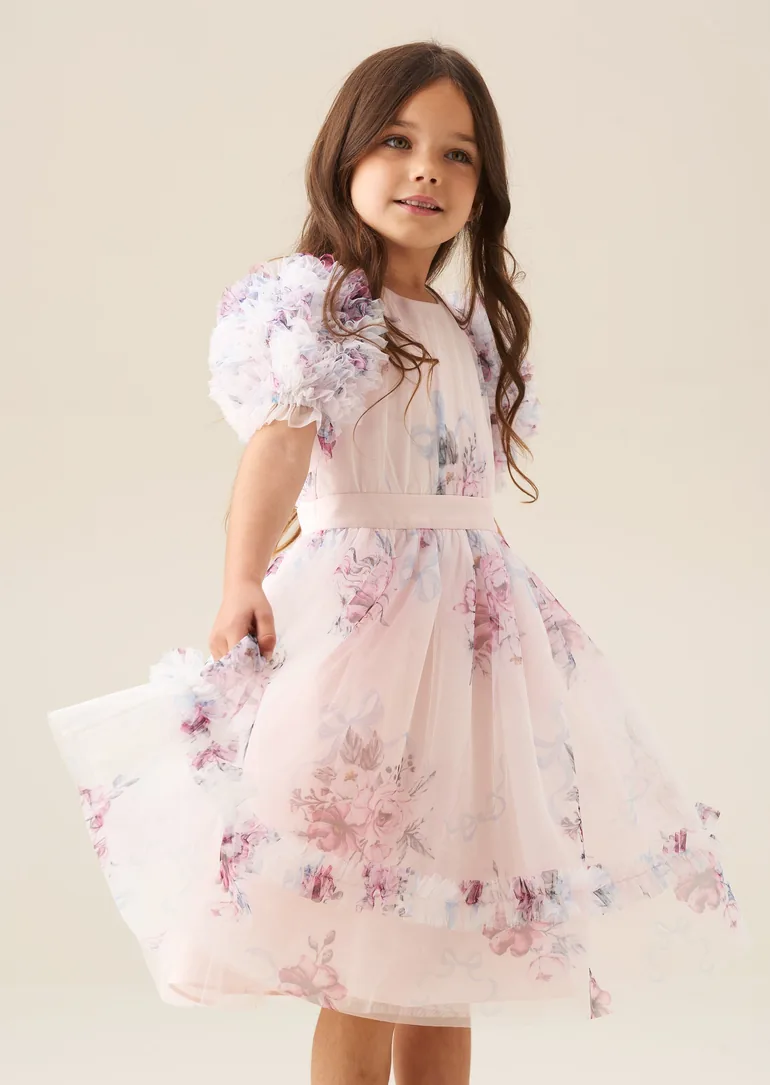 Florence Blush Ruffle Sleeve Mesh Dress - 4