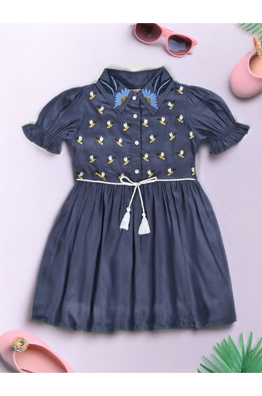 Embroidered Puff Sleeve Knee-Length Dress