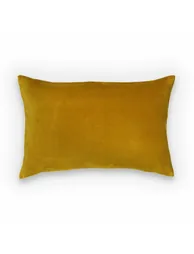 غطاء وسادة ديكور مخمل  - 2