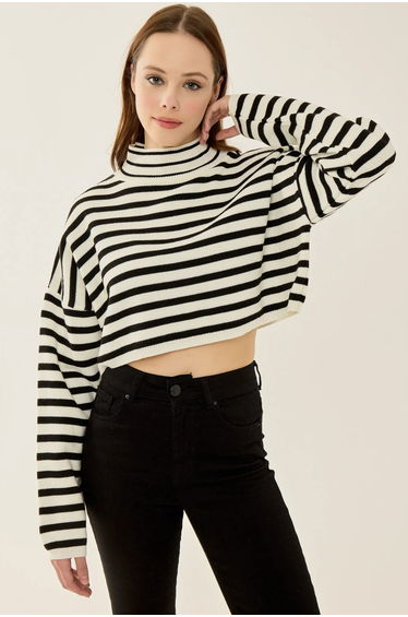 Turtleneck Crop Sweater