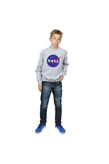NASA Boys Insignia Logo Sweatshirt - Sports Grey