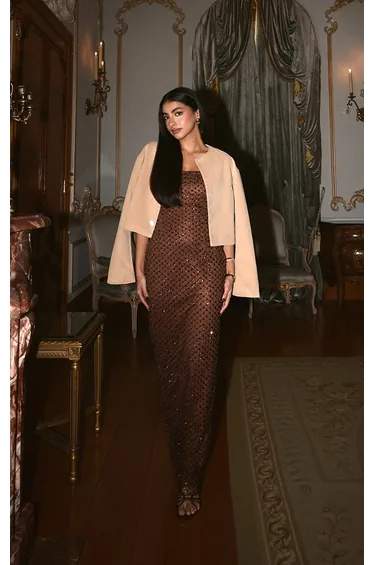 Chocolate Brown Embellished Bandeau Maxi Dress