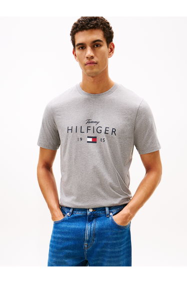 Tommy Hilfiger Men S/S T-Shirts