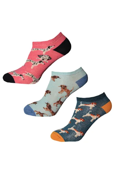 Simply Essentials Womens/Ladies Dogs Trainer Socks (Pack Of 3) - Pink/Baby Blue/Teal