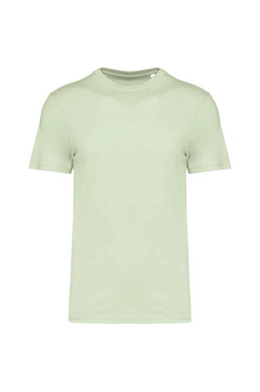 Native Spirit Unisex Adult T-Shirt - Celadon Green