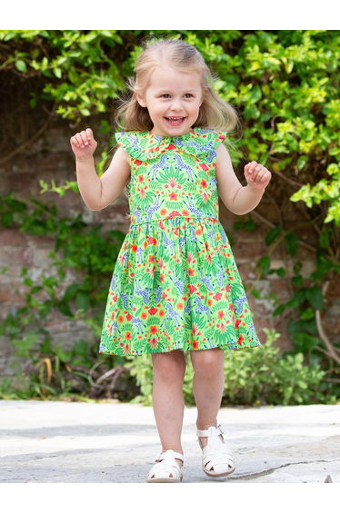 Dazzle Dress