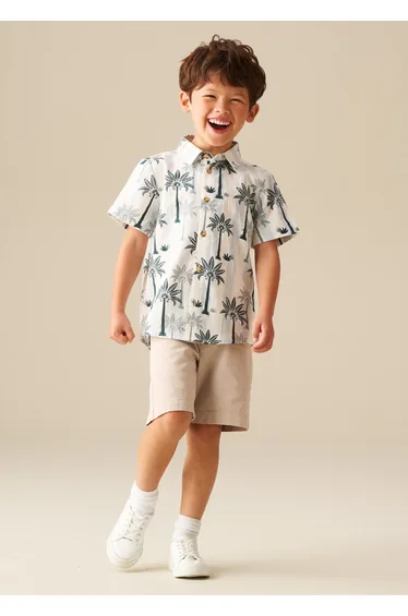 Jamie Palm Stripe Shirt