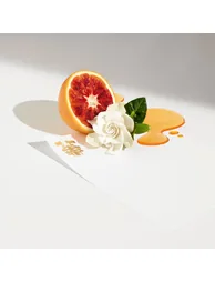 عطر جان بول غوتييه - 3