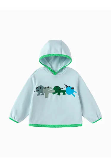 Boys' Hooded Sweatshirt with Dinosaur Details