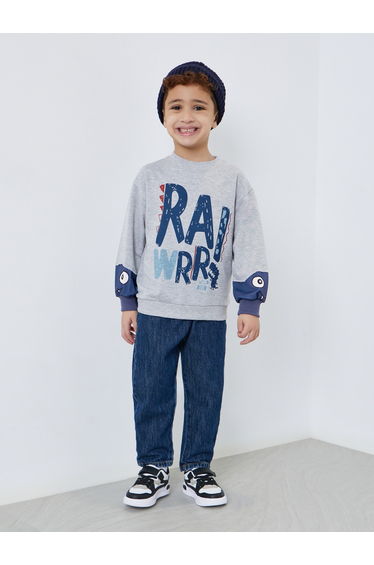 Graphic Print Sweatshirt with Dino Sleeve Detail