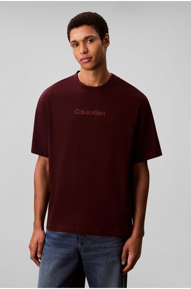 Ss Standard Logo 30S Crewnk Tee Red