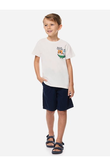 Boys Animal Graphic T-Shirt and Shorts Set