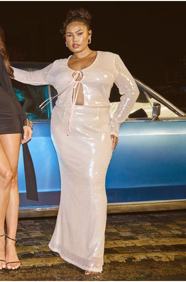 Plus Sheer Sequin Floor Length Skirt - nude