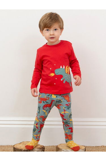 Little dragon t-shirt