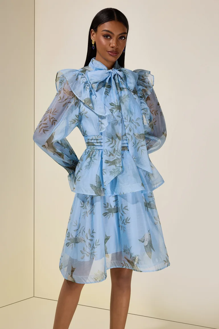 Bird Print Ruffle Lace-Up Mini Dress JardinVue Blue : Dresses : VogaCloset  Iraq
