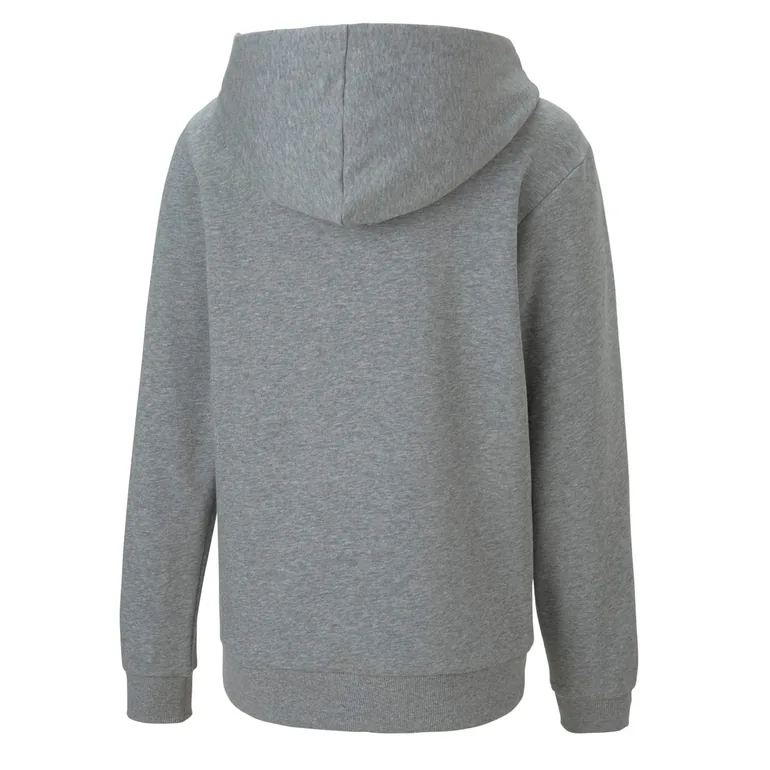 Boy's Puma Juniors TeamGOAL 23 Casuals Hooded Jacket in Grey - 1