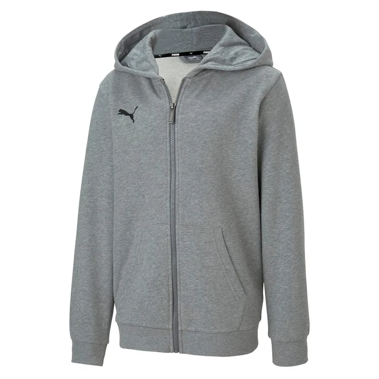 Boy's Puma Juniors TeamGOAL 23 Casuals Hooded Jacket in Grey