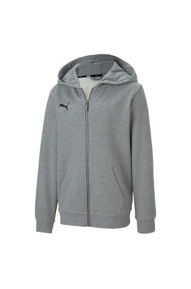 Boy's Puma Juniors TeamGOAL 23 Casuals Hooded Jacket in Grey