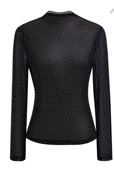 Shimmering Rhinestone Embellished Sheer Top